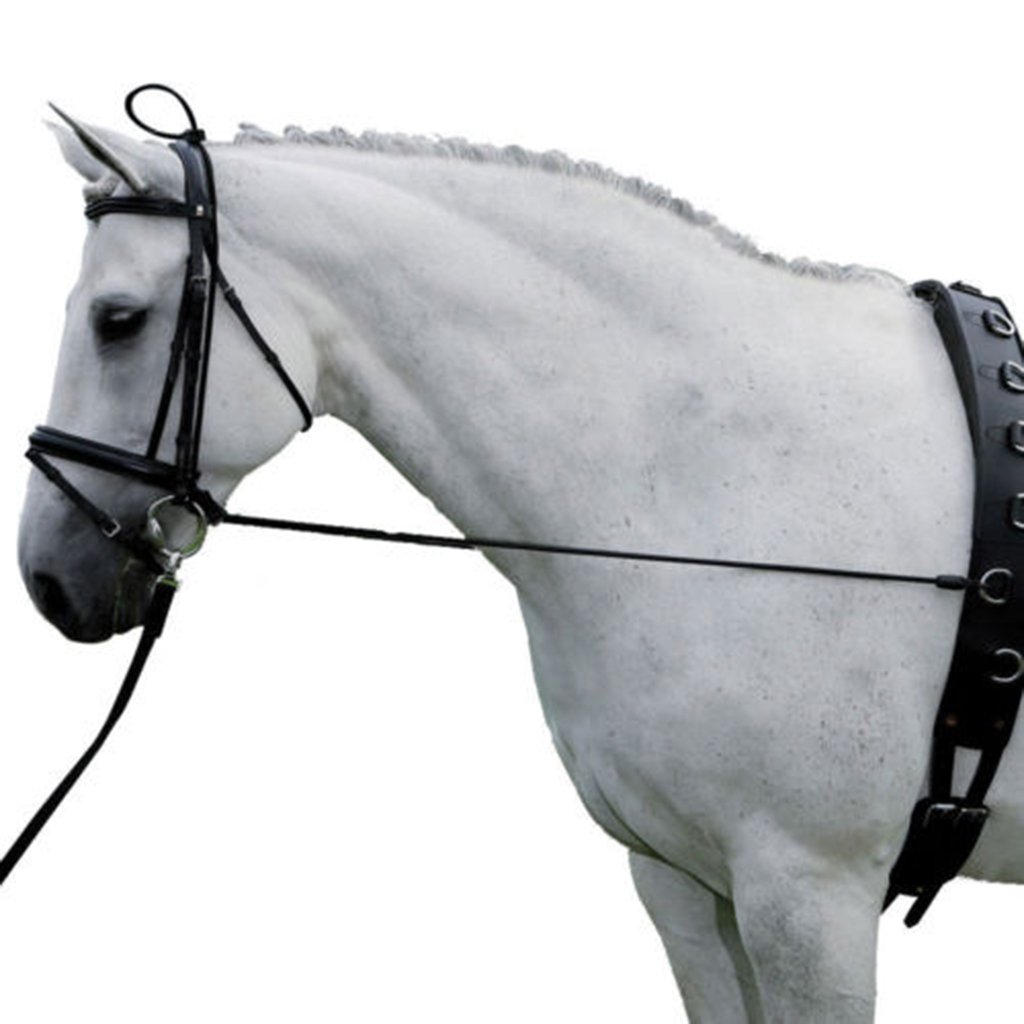 Neck Stretcher for Horses - Premium Black Equestrian Training Equipment & Horse Reins - Perfect for Dressage, Jumping, and Trail Riding