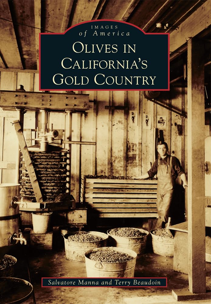 Olives in California's Gold Country - History & Culture Book | Images of America Series | Perfect for History Buffs & California Travel Enthusiasts