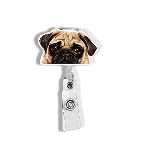 Pug Puppy Dog
