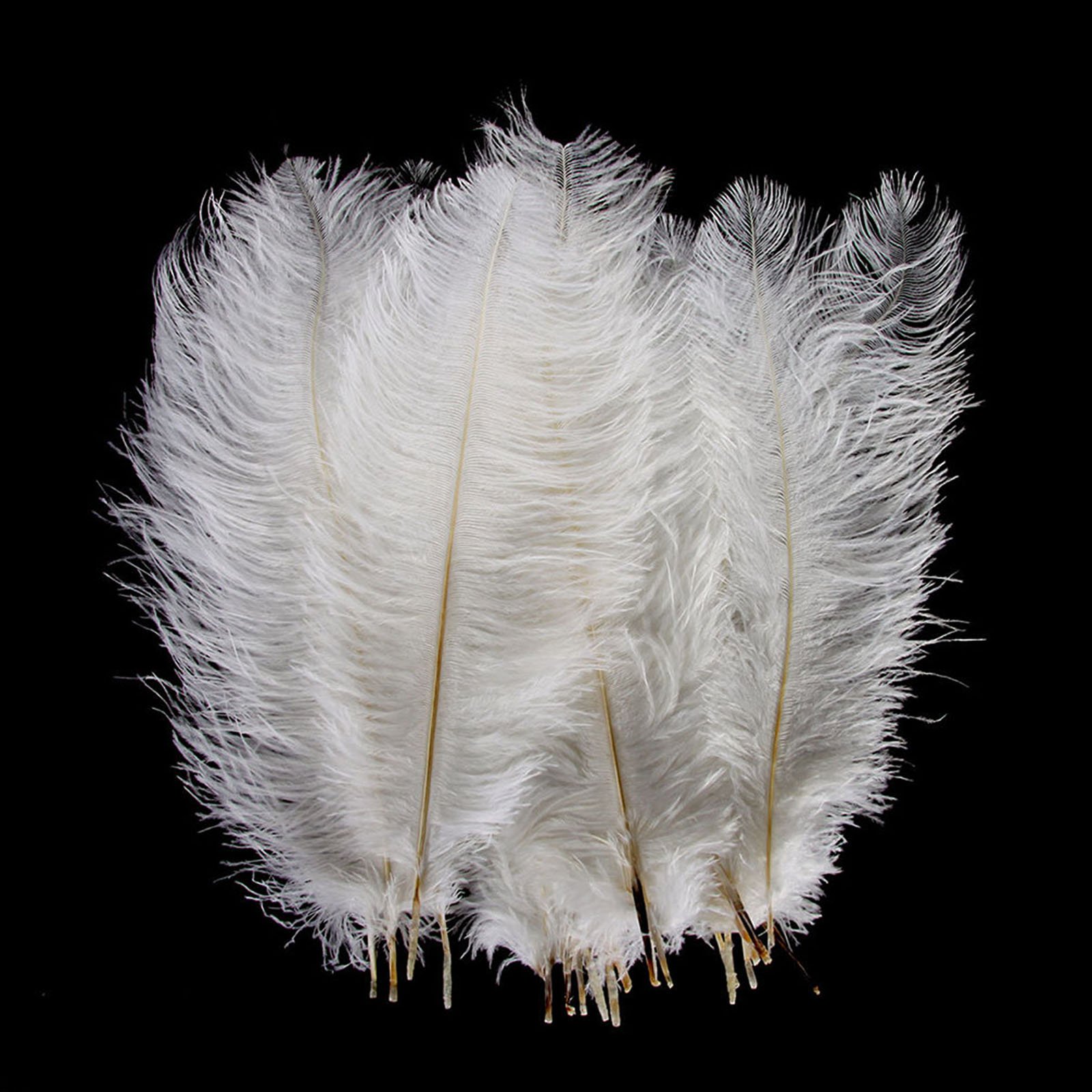 Natural Ostrich Feathers 10-12 inch (25-30cm) - 10pcs White Decorative Feathers for Wedding Centerpieces, Home Decor, Flower Arrangements, DIY Crafts, Christmas Decorations - Perfect for Table Settings, Bouquets, and Party Decor