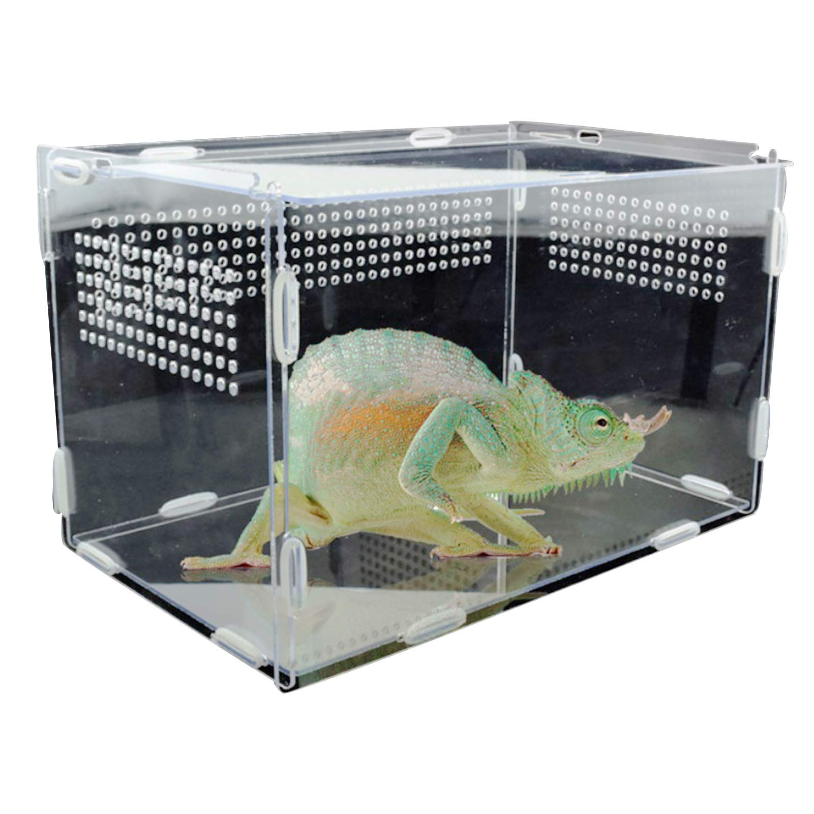 Clear Acrylic Reptile Enclosure Box - Transparent Pet Feeding & Breeding Cage for Scorpions, Spiders, Snakes, Frogs, Lizards, Insects & Mantis (Size: 15x15cm) - Perfect for Hatching, Feeding & Habitat Display in Home or Classroom