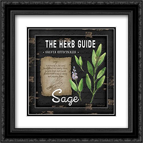 15x15 Black Ornate Framed Double Matted Museum Art Print - Herb Guide Sage by Jennifer Pugh | Perfect for Kitchen Decor, Herbalist Gifts & Botanical Wall Art