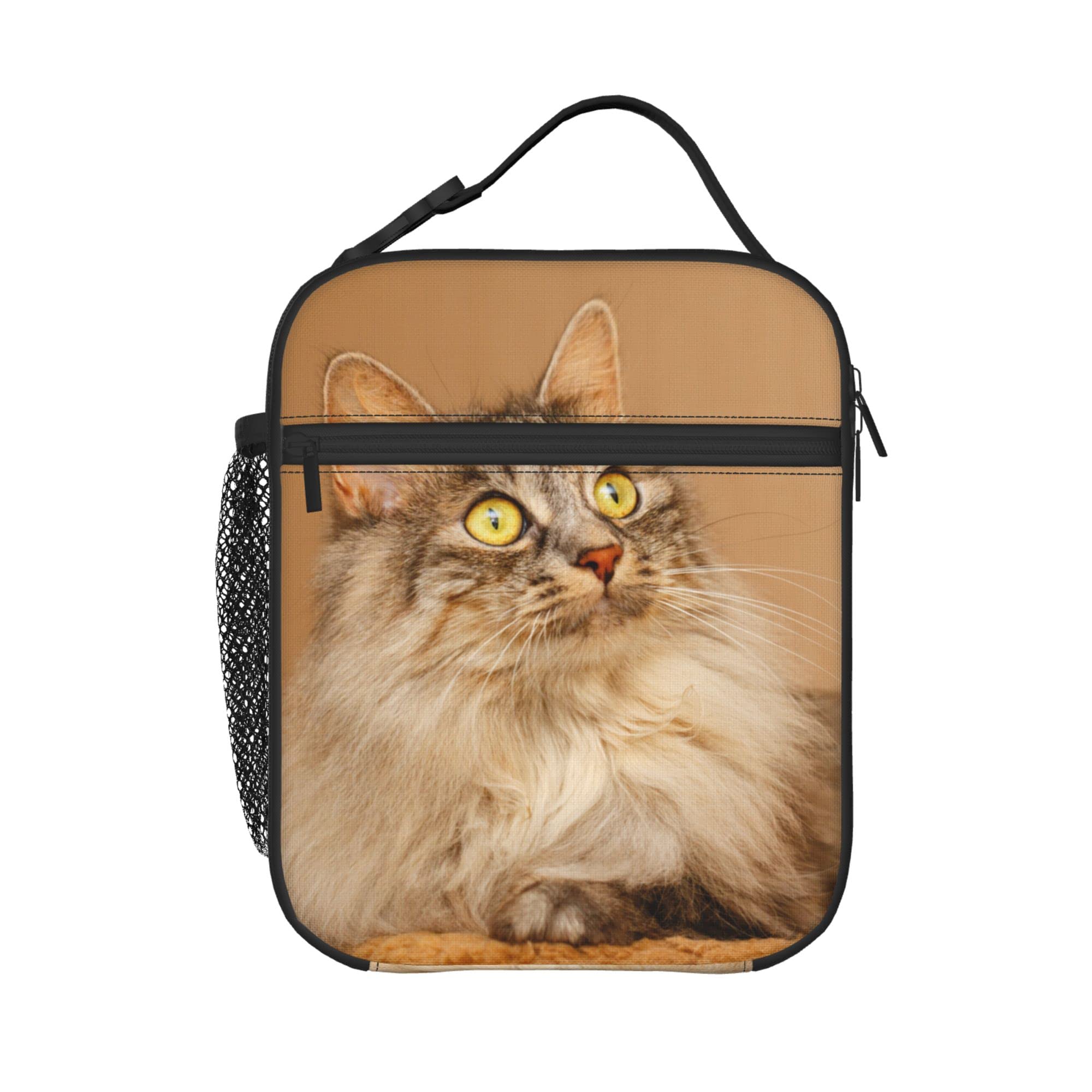 **Foruidea Insulated Lunch Box - Reusable Thermal Lunch Bag for Women, Men, Kids | Leakproof Cooler Tote for Work, School, Travel & Picnic | Cute Cat Design, Sweet & Fluffy**