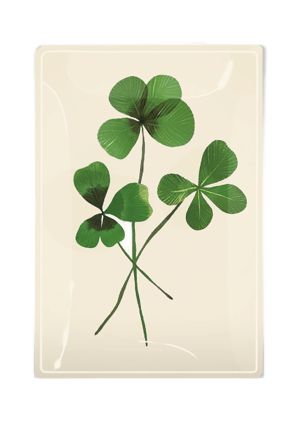 Lucky Four Leaf Clover Decoupage Glass Serving Tray - Elegant Home Decor for Coffee Table, Dining Table & Gift Giving