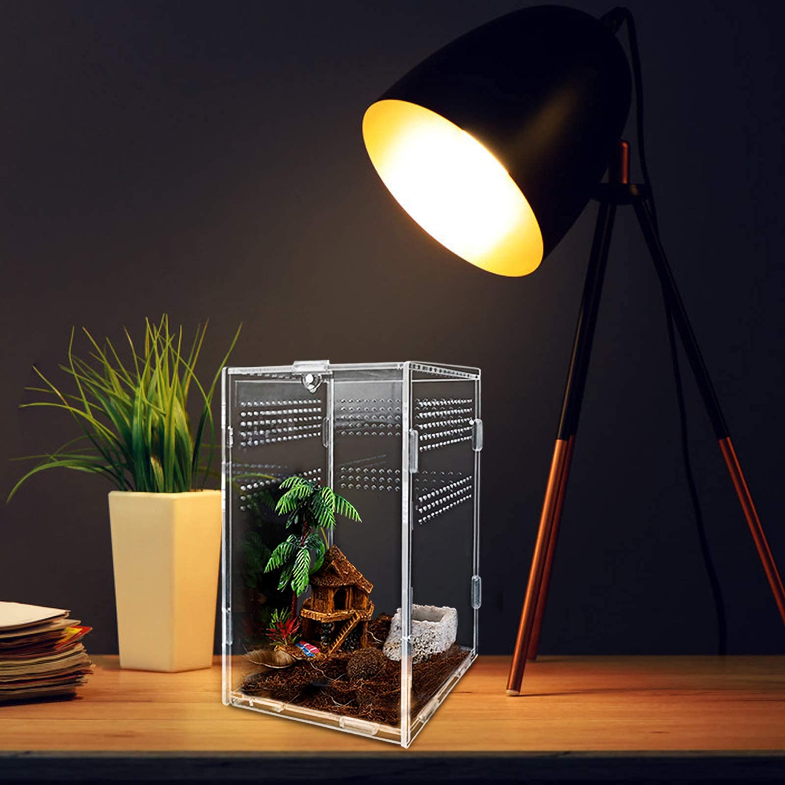 Acrylic Reptile Feeding Box & Terrarium Enclosure - Insect Breeding Habitat for Mantis, Spider, Cricket, Tarantula, Lizard, Scorpion, Geckos | Perfect for Pet Reptile Care & Insect Observation