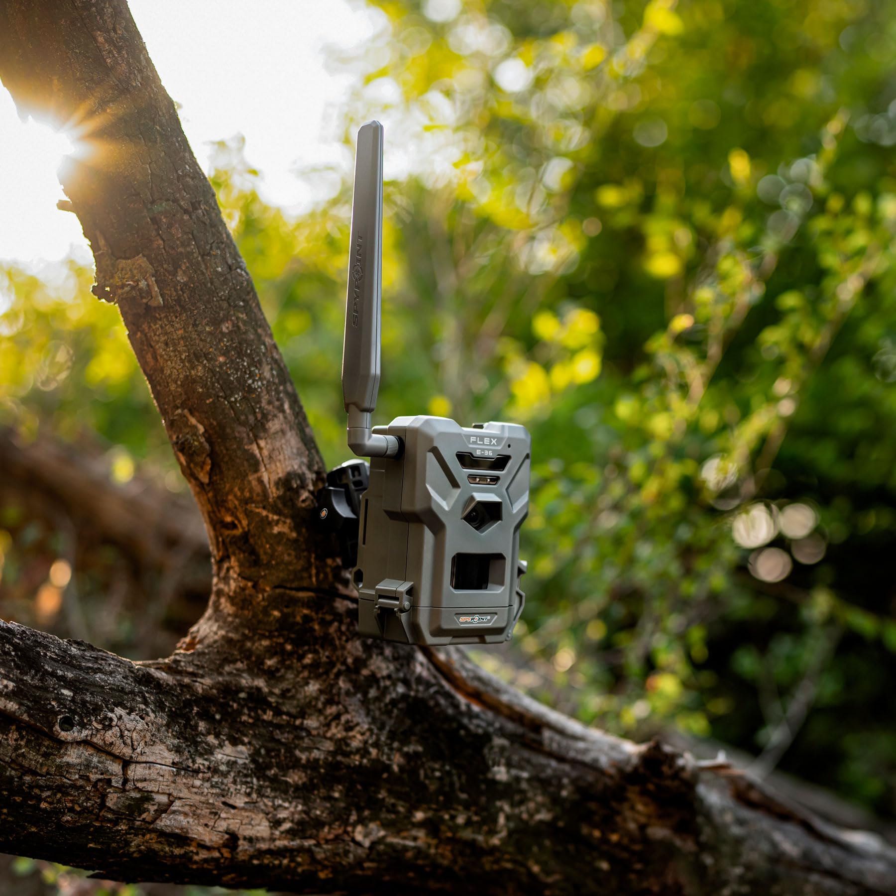 SPYPOINT Flex E-36 36MP Trail Camera with Night Vision - 16GB MicroSD Card & 8 AA Batteries Included - Wireless Game Camera for Hunting, Wildlife Monitoring & Home Security - Works with Free SPYPOINT App