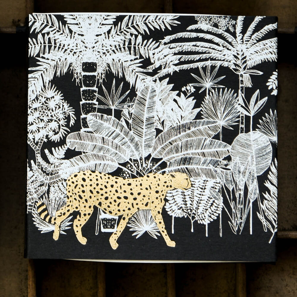 Premium Large Matches Box - Big Cat Collection for Fireplaces, Candles & Outdoor Camping