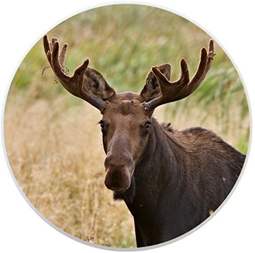 2352 Moose Ceramic Cabinet Drawer Knob - Antique Bronze Hardware Pulls for Kitchen, Bathroom & Furniture - Handcrafted Deer-Themed Drawer Handles for Cabinets, Dressers & DIY Home Decor