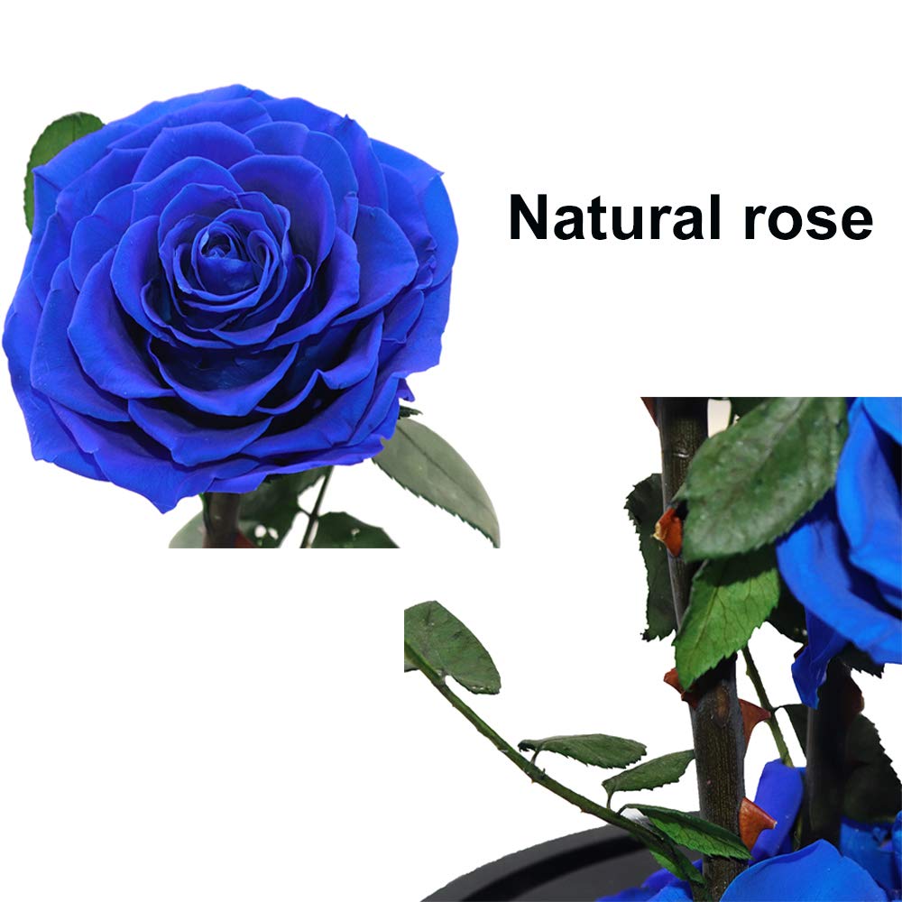 Handmade Preserved Real Blue Rose in Glass Dome - 13 Inch Never Withered Rose Gift for Women | Birthday, Anniversary, Home Decor & Romantic Gift Idea