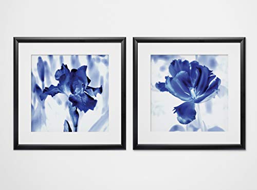 Blue Ice Iris