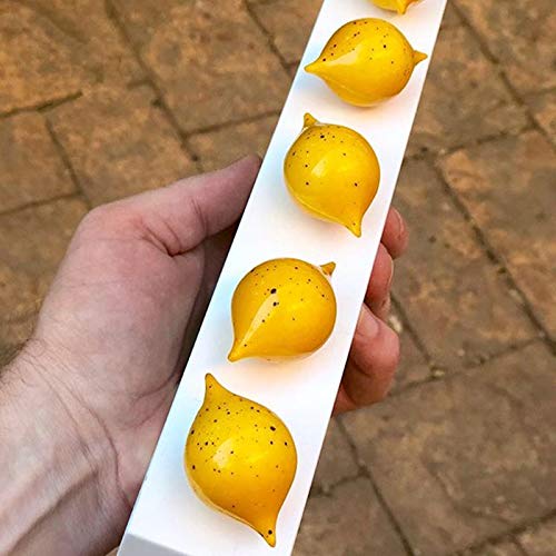 Gold Baking Polycarbonate Chocolate Mold - DIY Half Lemon for Desserts