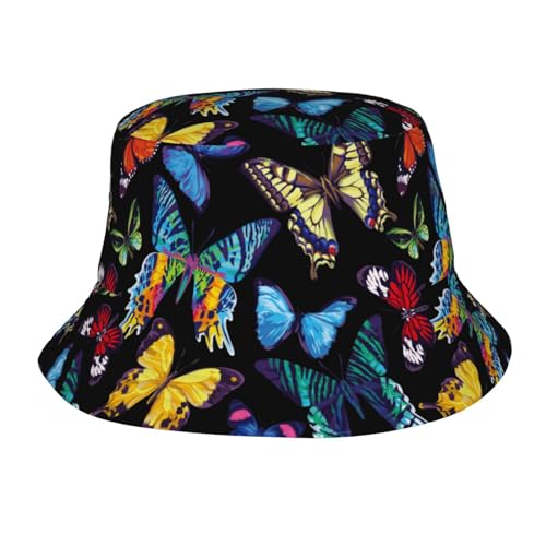 Colorful Butterfly Butterflies