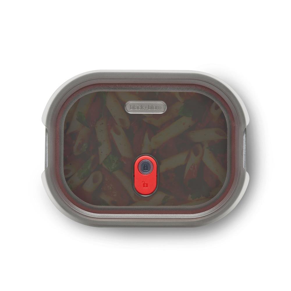 Premium Stainless Steel Lunch Box - Black + Blum Medium Size | Eco-Friendly, Leak-Proof Food Container for Work, School & Outdoor Activities
