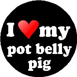 I Love My Pot Belly Pig 1.25