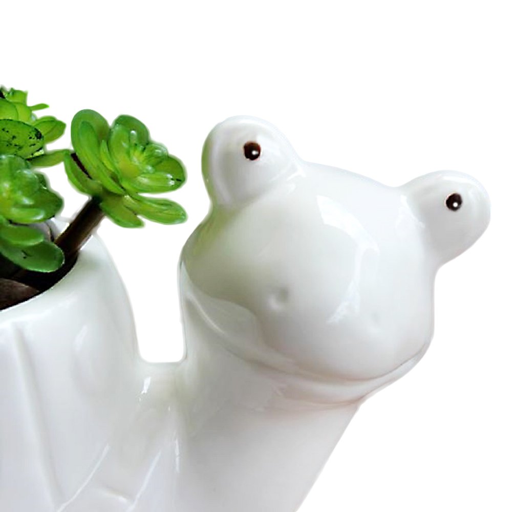 GeLive 5 Inch Tortoise Succulent Planter - Cute Turtle Shaped Flower Pot for Indoor/Outdoor Plants, Home & Garden Decor - Perfect for Succulents, Cacti, and Small Flowers