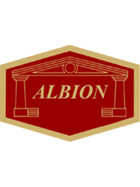 Albion Reins - Premium Horse Riding Reins for Equestrian & Dressage | Durable Leather Horse Training Equipment for Show Jumping & Trail Riding