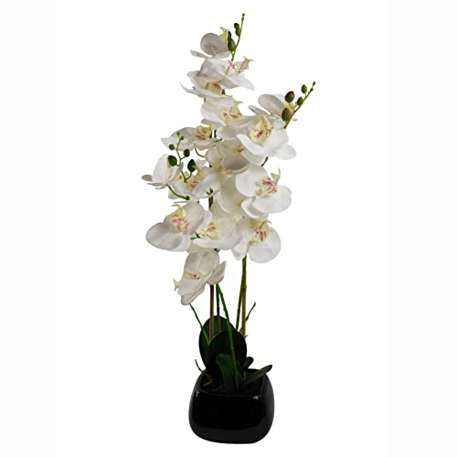70cm White Black Ceramic Planter