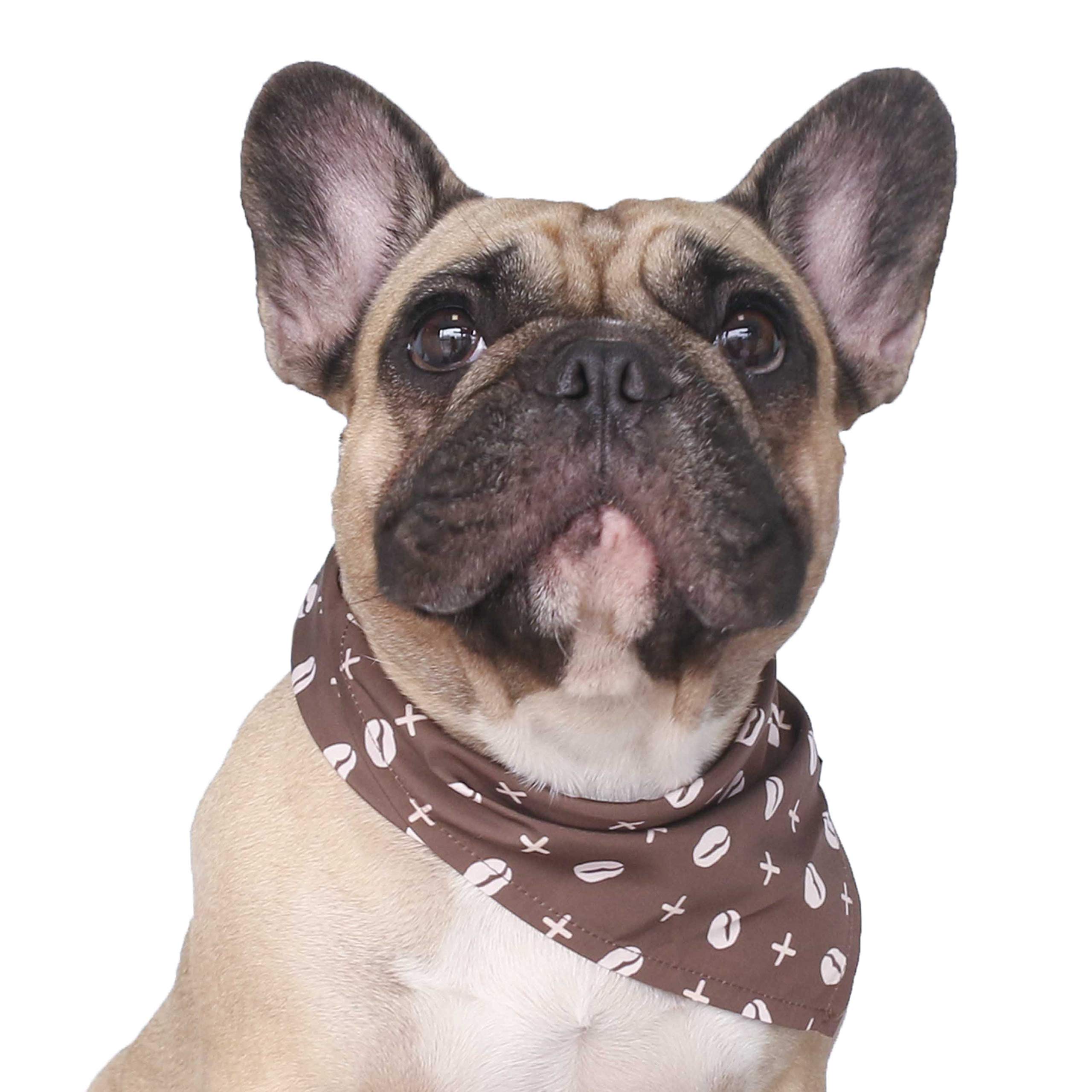 iChoue Washable Adjustable Pet Bandanas for Dogs & Cats - Original Printing Triangle Scarfs & Bibs - Coffee Bean Design - Perfect for Grooming, Walks & Photo Shoots