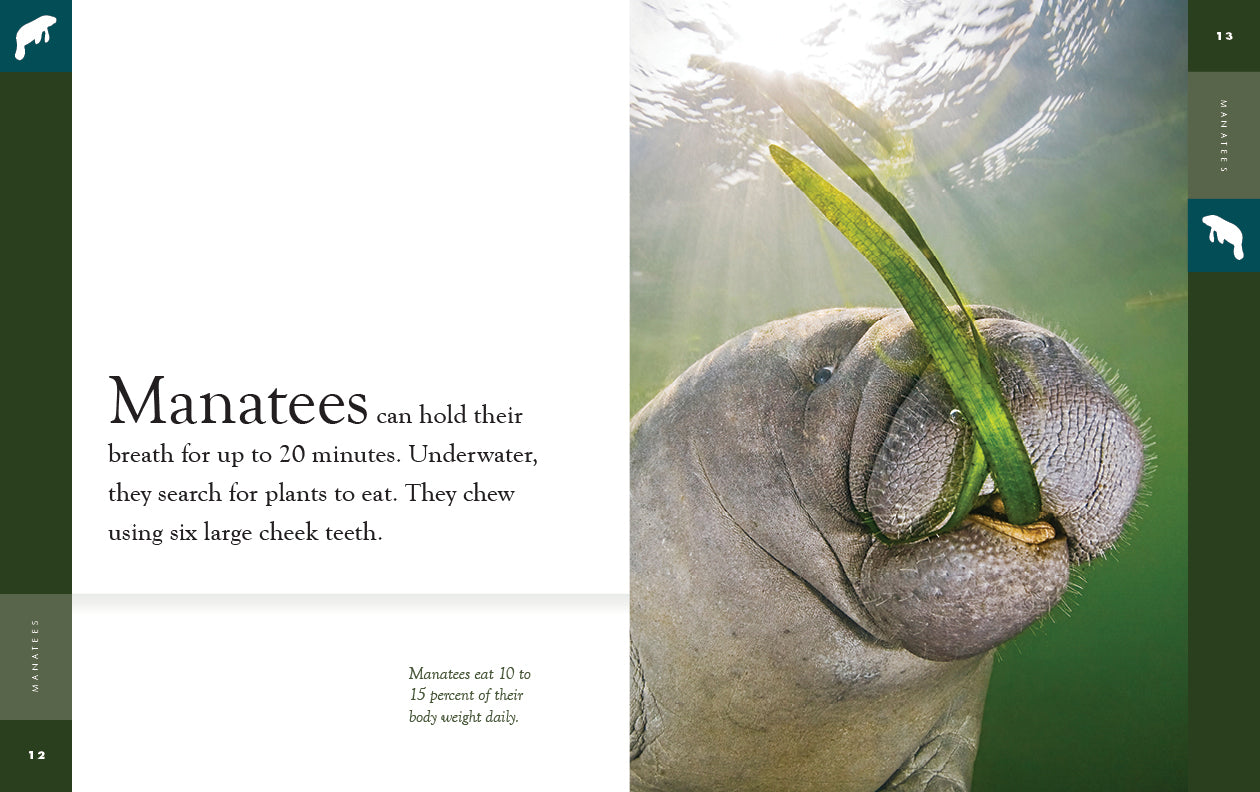 Manatees Book - 9781640265691 | Learn About Manatees, Marine Life & Conservation | Perfect for Kids, Students & Nature Lovers