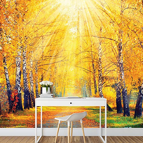 Autumn Day Trees