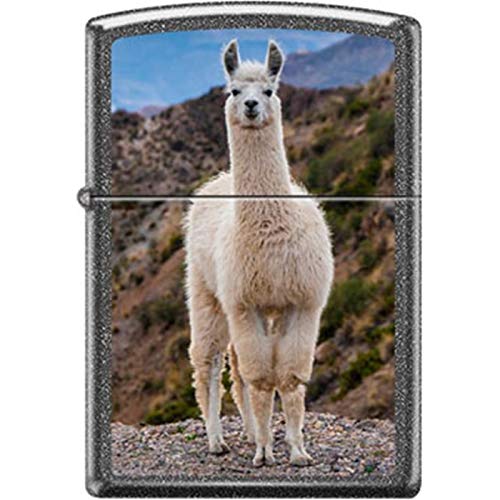 Premium Zippo Windproof Lighter with Unique Llama Design - Perfect for Outdoor Adventures, Camping & Everyday Carry (ECDC)