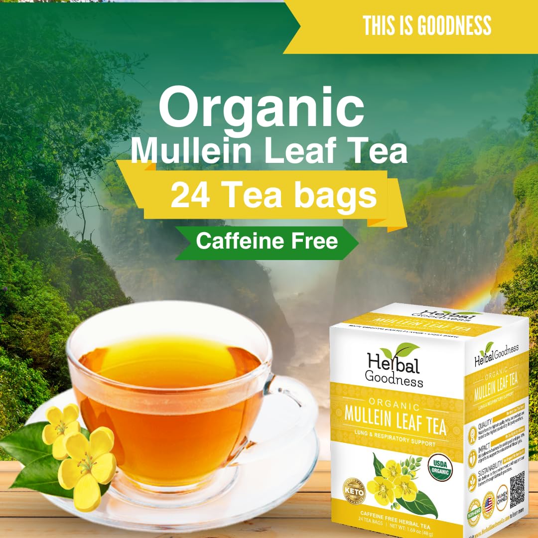 Organic Mullein Leaf Tea Bags - Supports Lung & Respiratory Health, Boosts Immune & Digestive System, 24 Herbal Tea Bags for Wellness | Perfect for Cold Relief, Allergy Season & Daily Detox