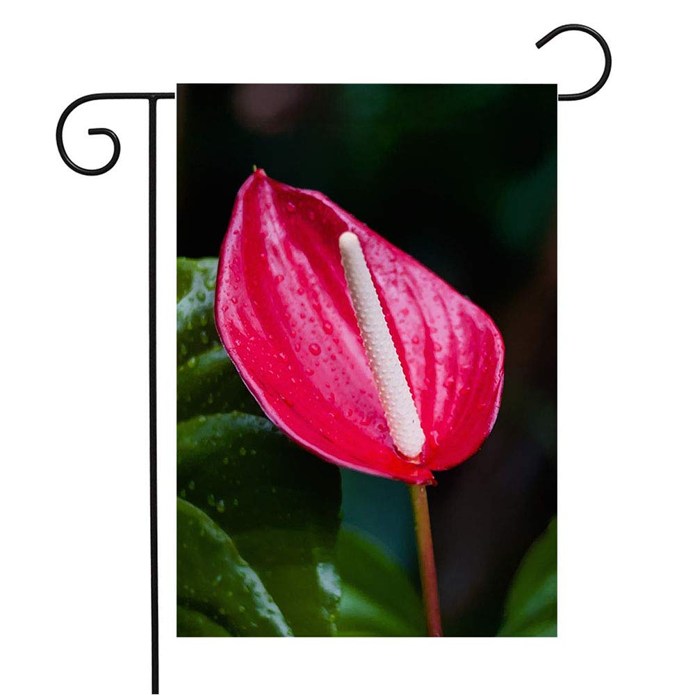 Green Bloom Red Calla Lily Tropical Exotic Flowers Garden Flag 12x18 Inch - Nature Inspired Outdoor Decor for Patio, Lawn & Home - Perfect Seasonal Gift for Garden Lovers & Flower Enthusiasts