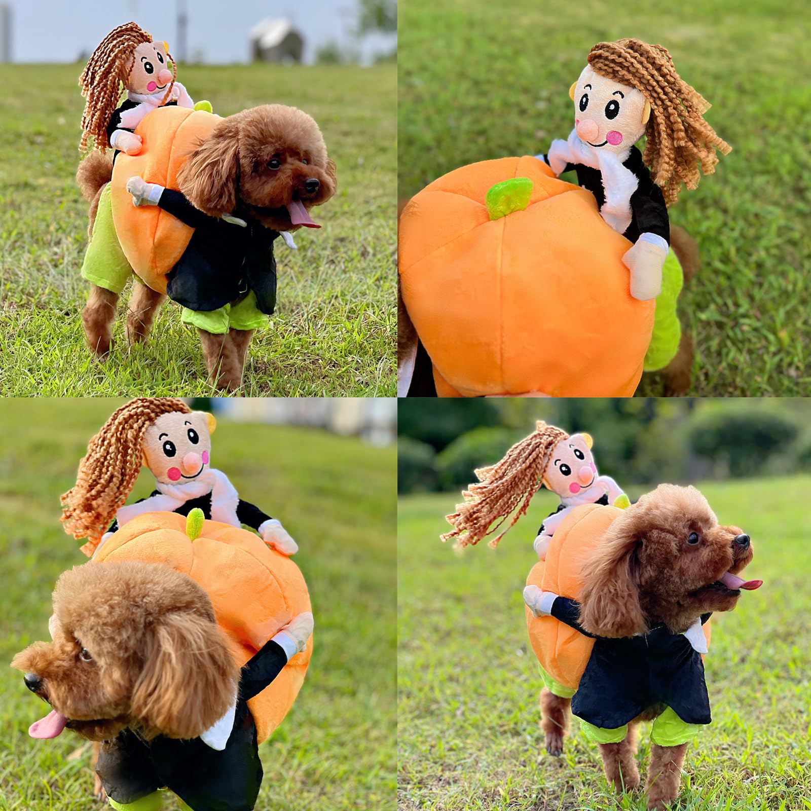 BKDRL Pumpkin Dog Costume - Funny Halloween Pet Outfit for Small Dogs & Cats - Orange Medium Size - Perfect for Halloween Parties & Pet Photo Shoots