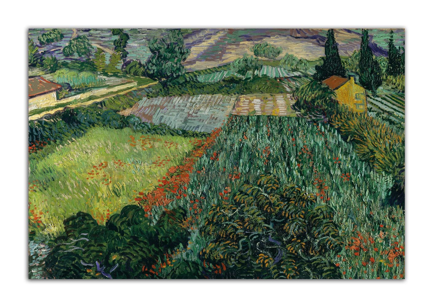 Van Gogh Poppy Field Oil Painting Print - 12x18 Inch (30x45cm) Wall Art Canvas Poster - Modern Home Decor for Living Room, Bedroom & Office - No Frame Included | Perfect for Art Lovers & Interior Design