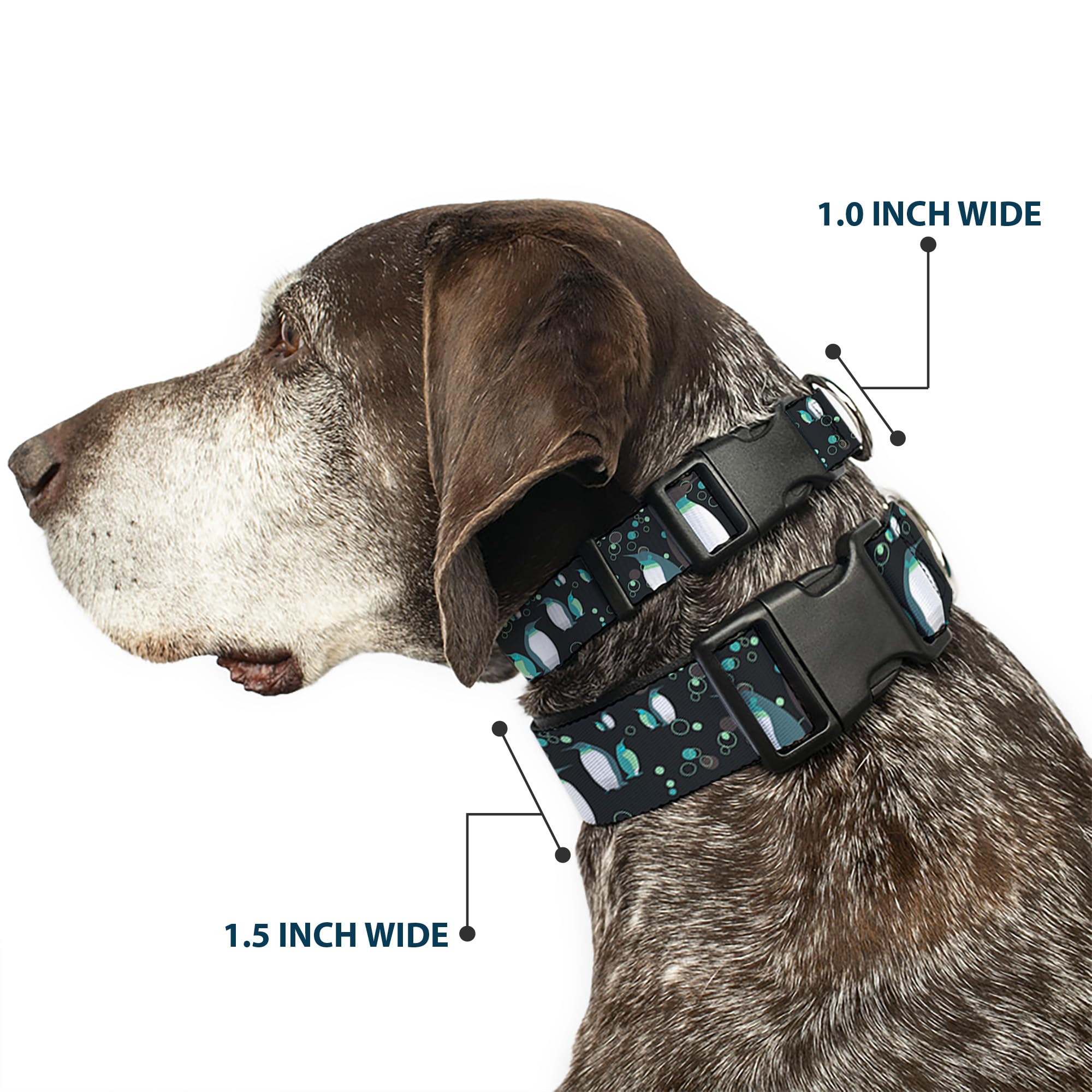 Buckle-Down Plastic Clip Dog Collar - Emperor Penguins with Bubbles Design (Black/Gray/Turquoise) - 1 Inch Wide - Adjustable 15-26 Inch Neck - Large Size - Perfect for Daily Walks, Pet Fashion & Outdoor Adventures