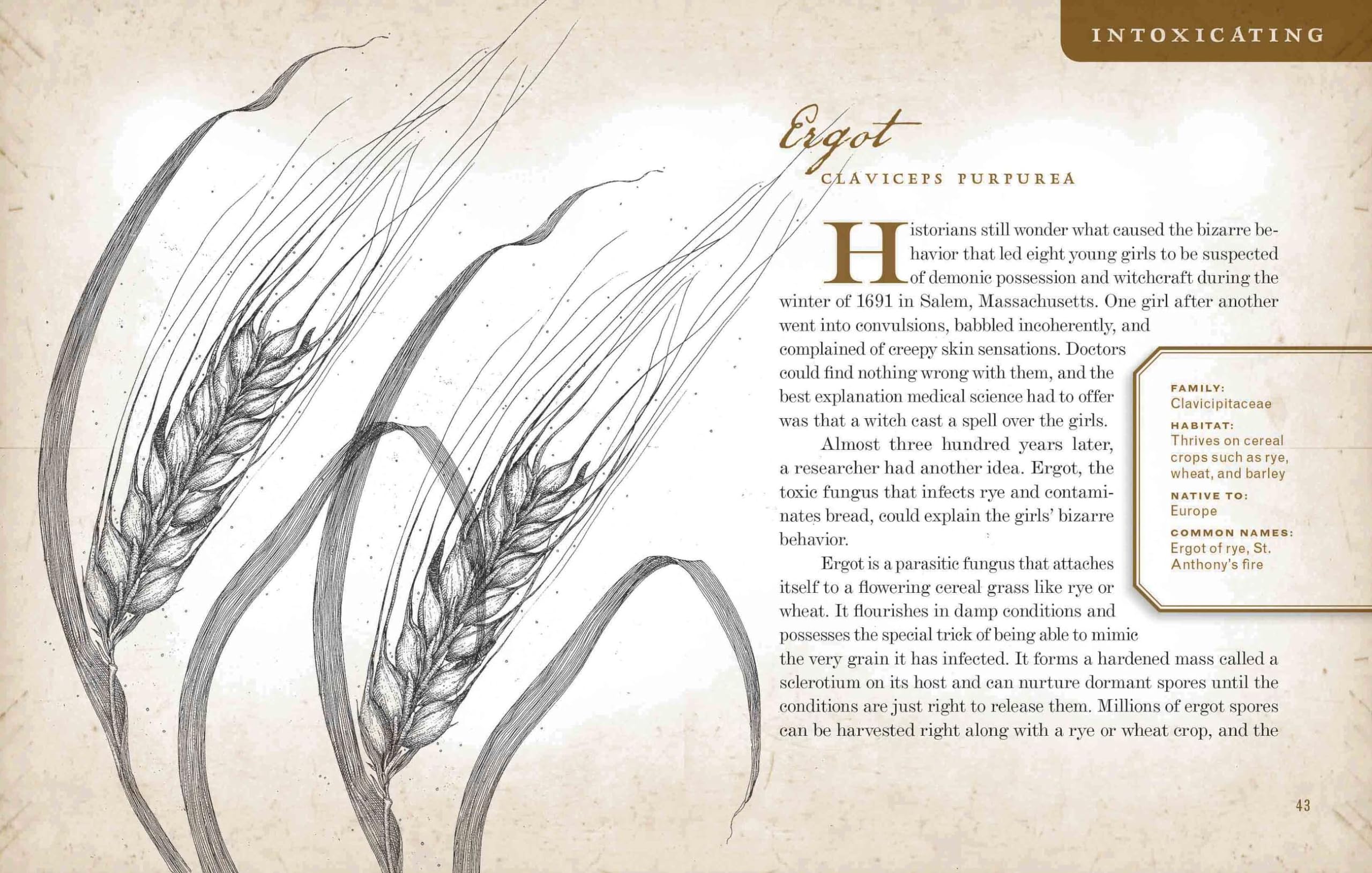 Wicked Plants: The Weed That Killed Lincoln's Mother and Other Botanical Atrocities - True Stories of Poisonous Plants for Gardeners, History Buffs & Nature Lovers - Perfect for Book Clubs & Educational Reading