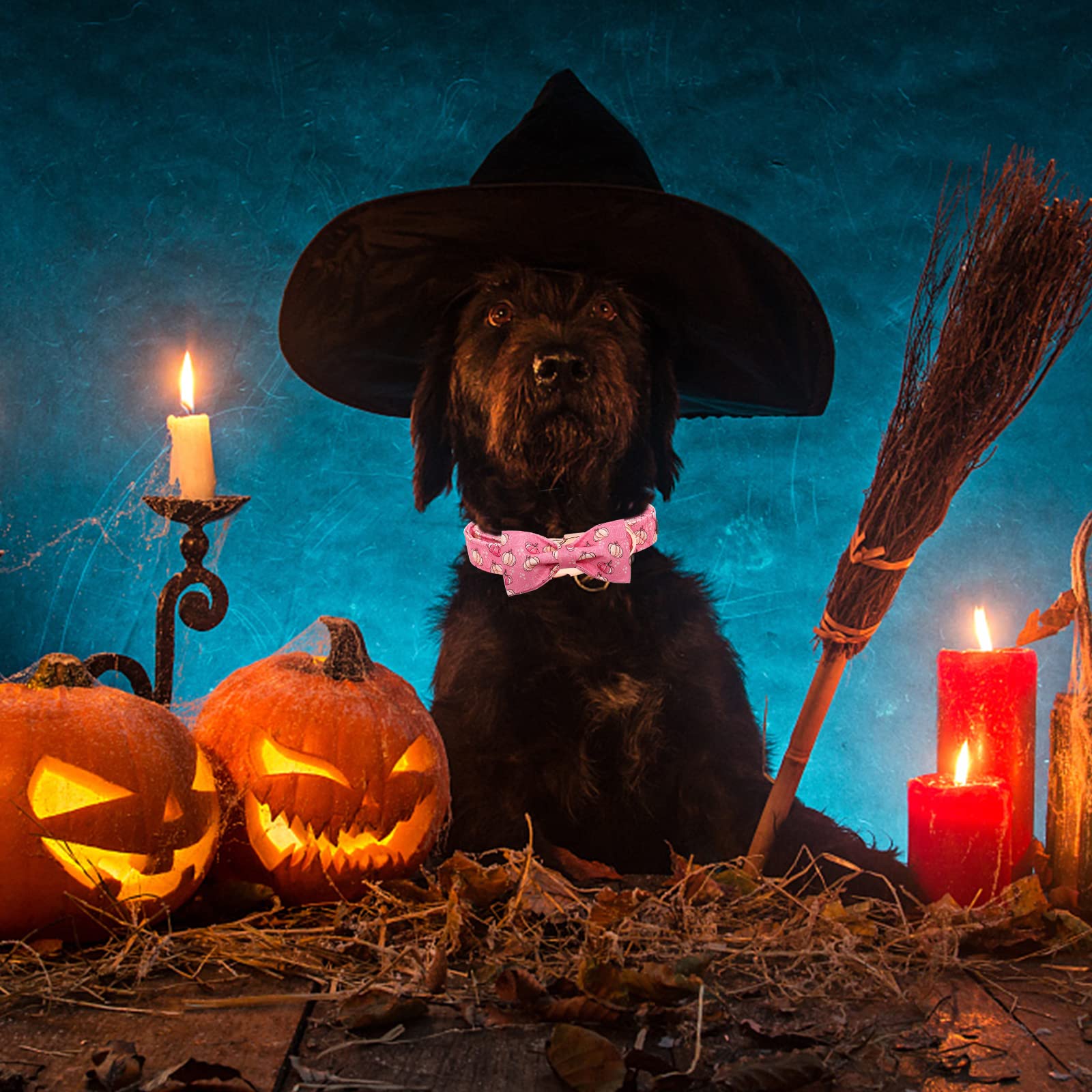 Elegant Bow Dog Collar with Adjustable Bowtie - Halloween Pumpkin Pet Collar for Small Medium Large Dogs | Perfect for Costume Parties, Pet Photos & Special Occasions