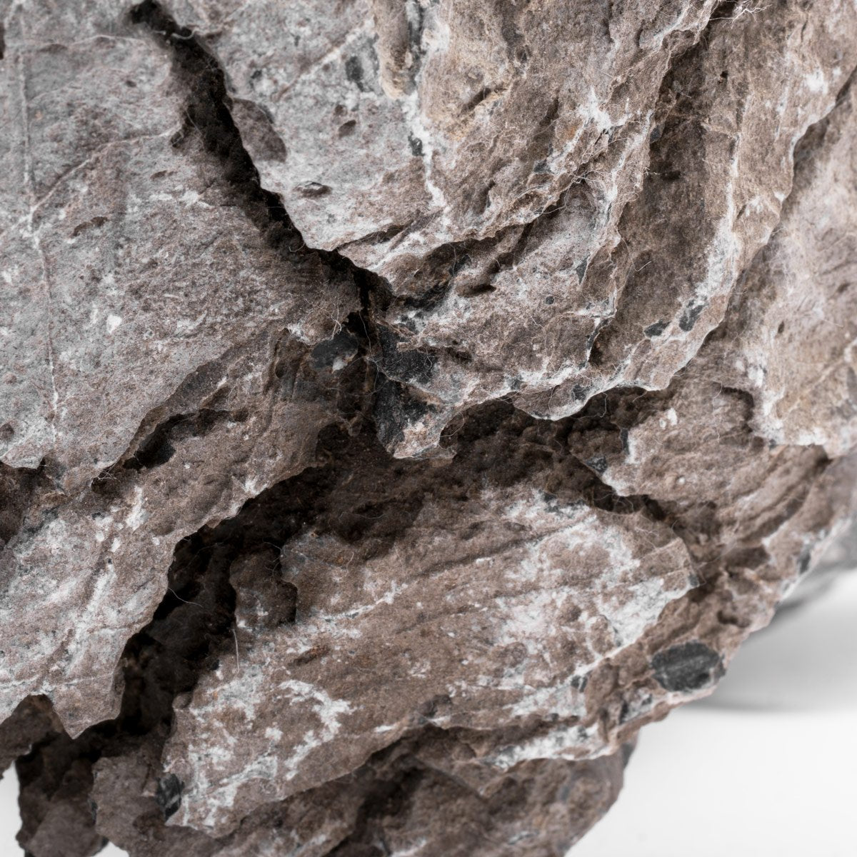 Premium Seiryu Stone for Aquascaping - Natural Blue-Grey Rock for Fish Tanks, Aquariums & Zen Gardens - Perfect for Iwagumi Layouts, Shrimp Habitats & Japanese Style Landscaping