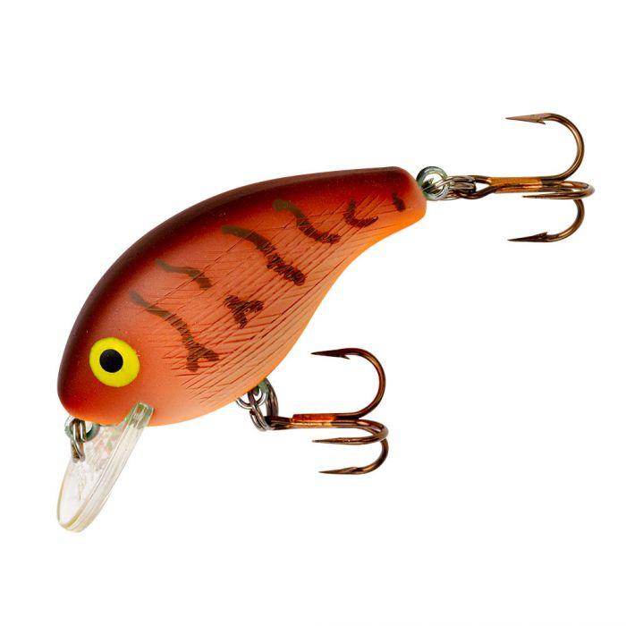 Brown Crawfish