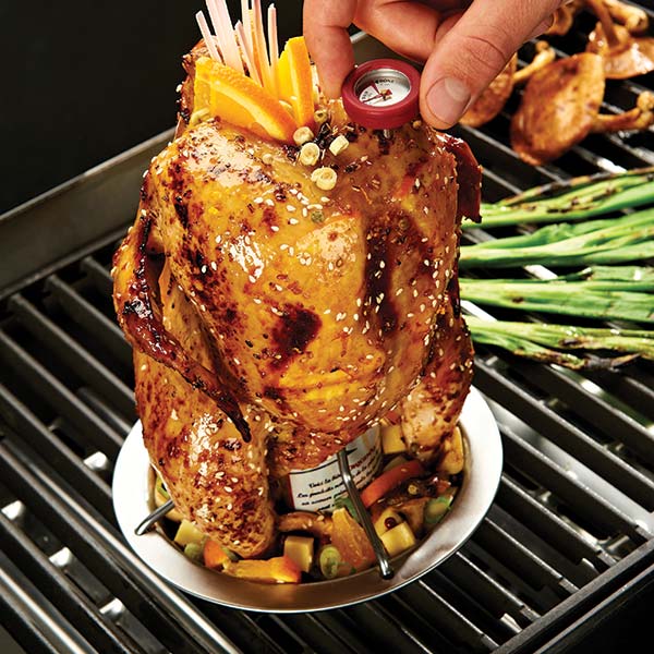 Broil King 69132 Premium Stainless Steel Chicken Roaster - Perfect for Grilling, Rotisserie & BBQ - Ideal for Backyard Cookouts, Family Gatherings & Outdoor Parties