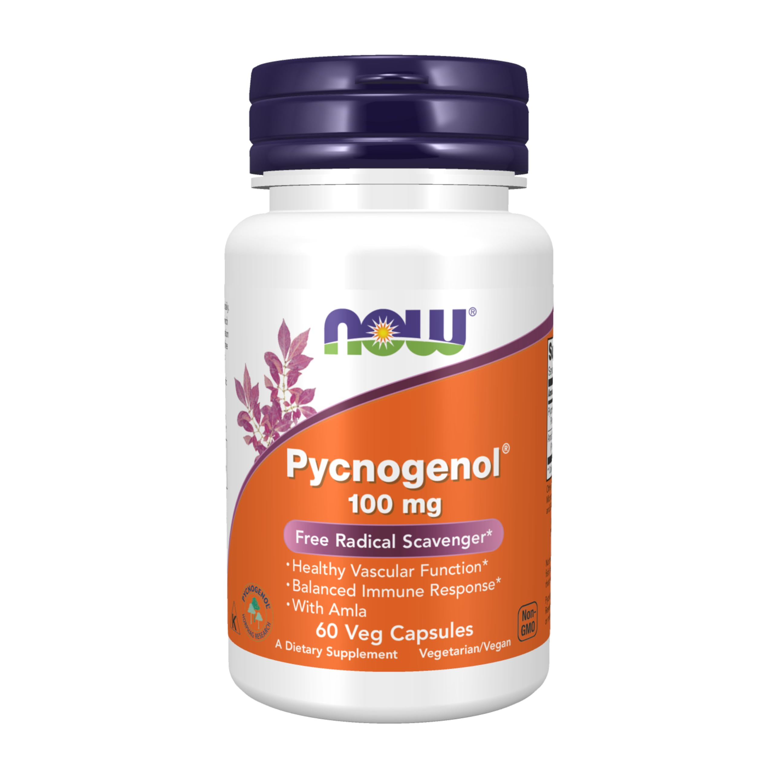 NOW Foods Pycnogenol 100mg with Amla - French Maritime Pine Bark Extract & Antioxidant Supplement - 60 Vegan Capsules for Immune Support, Skin Health & Cardiovascular Wellness - Perfect for Daily Wellness Routine & Anti-Aging Care