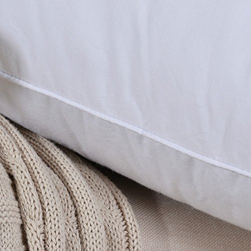 Premium White Goose Down Firm Pillow - 700 Fill Power, 38.8 oz, Size 18.9