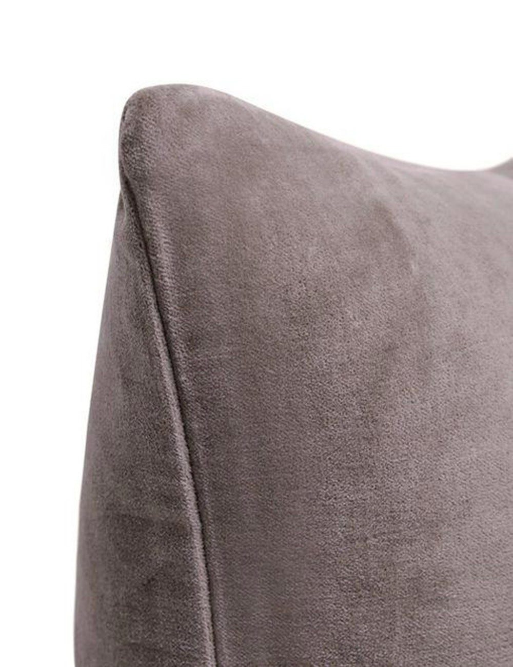 Charlotte Velvet Pillow - Soft & Luxurious Decorative Throw Pillow for Sofa, Bed, Couch - Perfect for Living Room, Bedroom & Home Decor