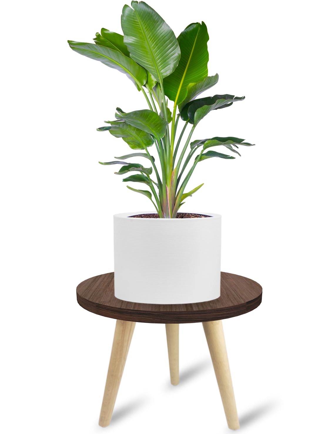 10IN Tall Wooden Plant Stand Holder - Mid Century Small Round Table for Indoor Plants, Living Room Corner Floor Decor - Perfect for Succulents, Ferns & Home Decor