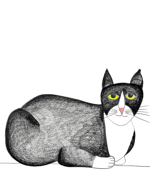 Cute Jasper Cat Sticker - Waterproof Vinyl Decal for Laptops, Cars & DIY Crafts - Perfect for Pet Lovers & Kawaii Decor