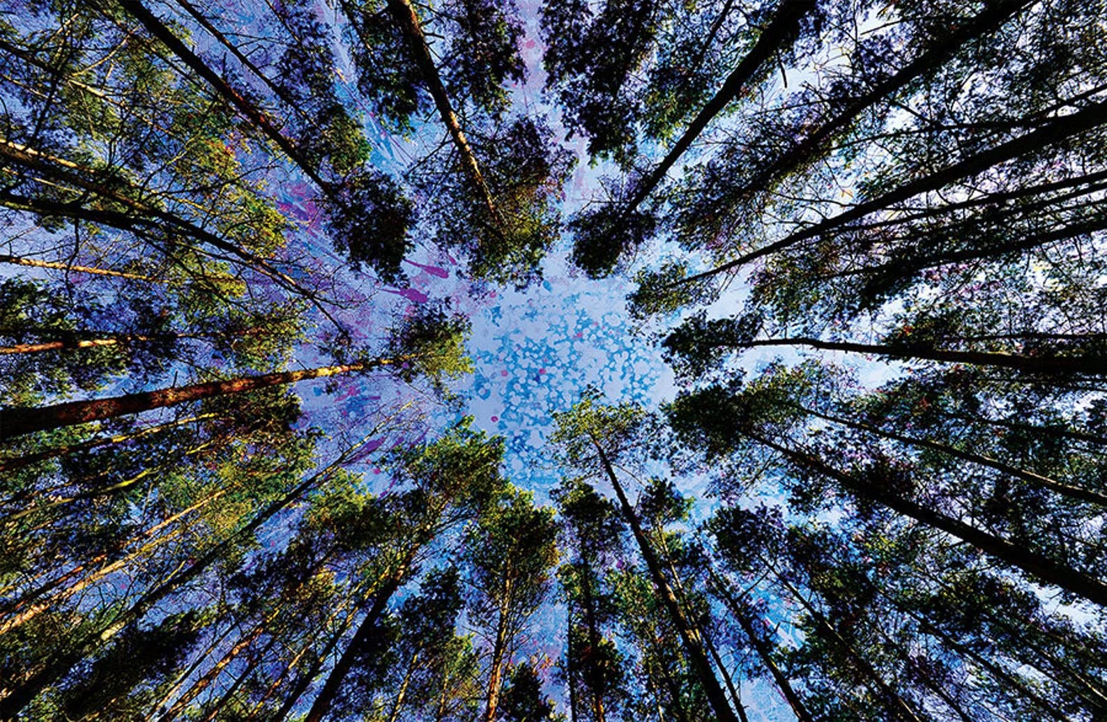Trippy Tree Canopy Art Print - Nature Wall Decor Poster with Earthy Forest Design | Premium Quality Paper | Unframed Wall Art for Bedroom, Living Room & Office | Perfect for Meditation Spaces & Bohemian Home Decor