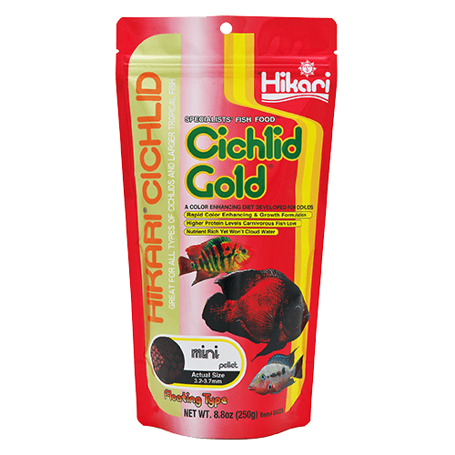 Hikari Cichlid Gold Floating Pellet Fish Food - Premium Floating Pellets for Cichlid Fish, Tropical Fish & Goldfish - Ideal for Aquarium, Pond & Fish Tank Feeding