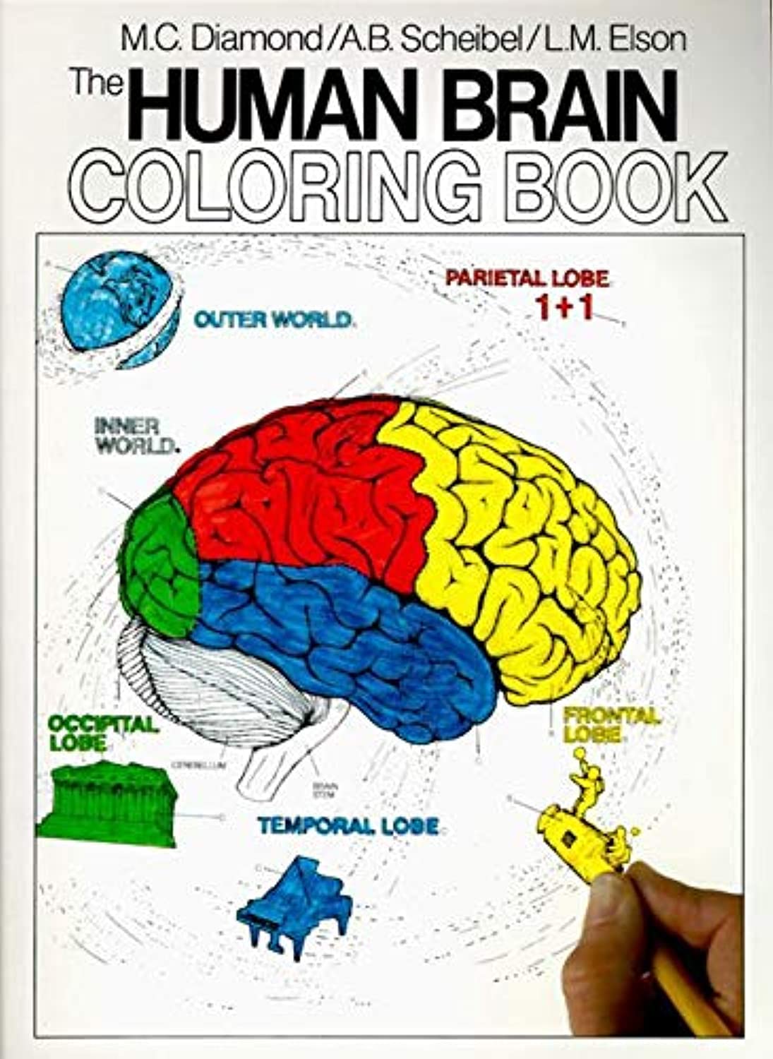 The Human Brain Coloring Book - Anatomy Educational Coloring Book for Adults & Students | Perfect for Neuroscience Study, Stress Relief & Creative Learning