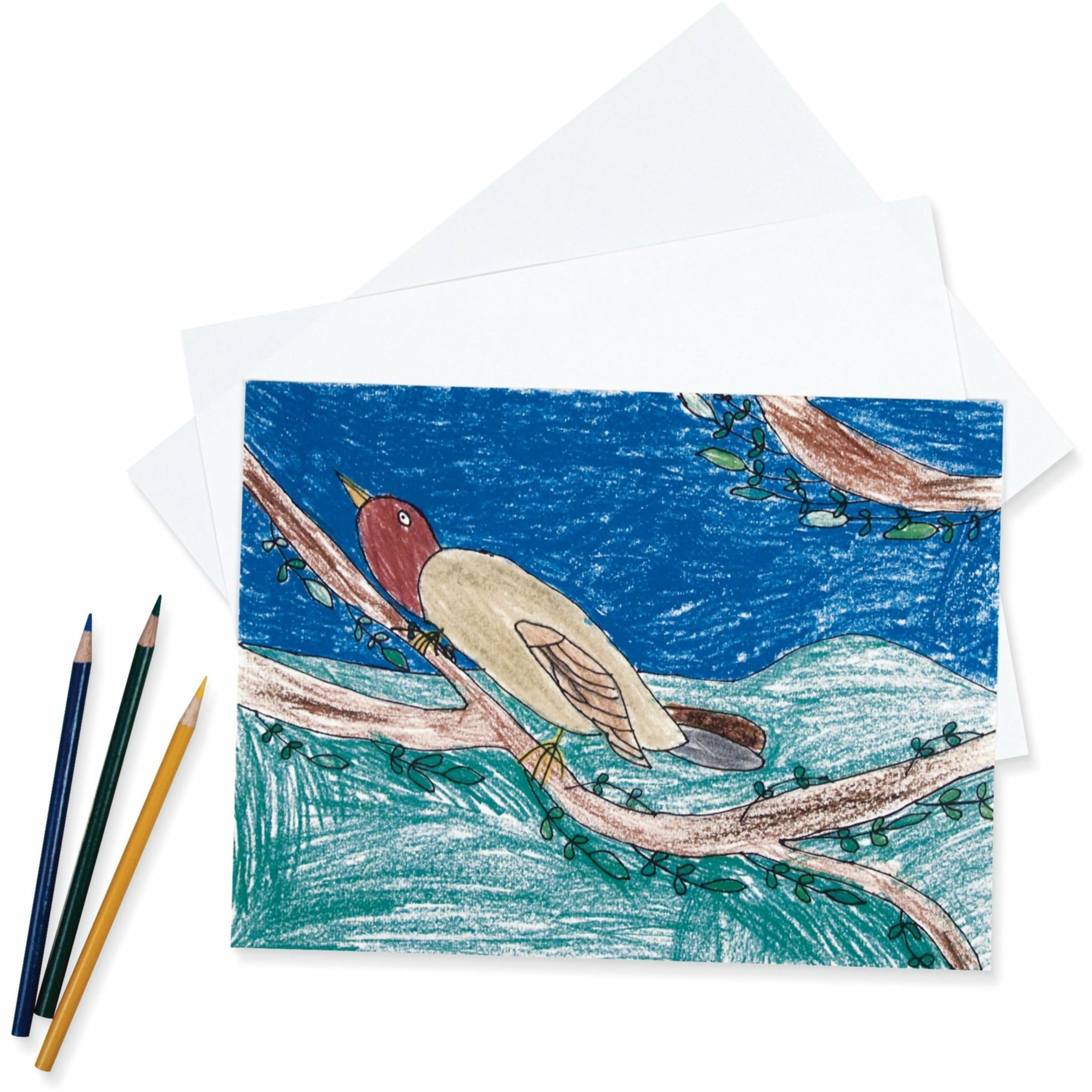 Premium Pacon Heavyweight Drawing Paper - 9