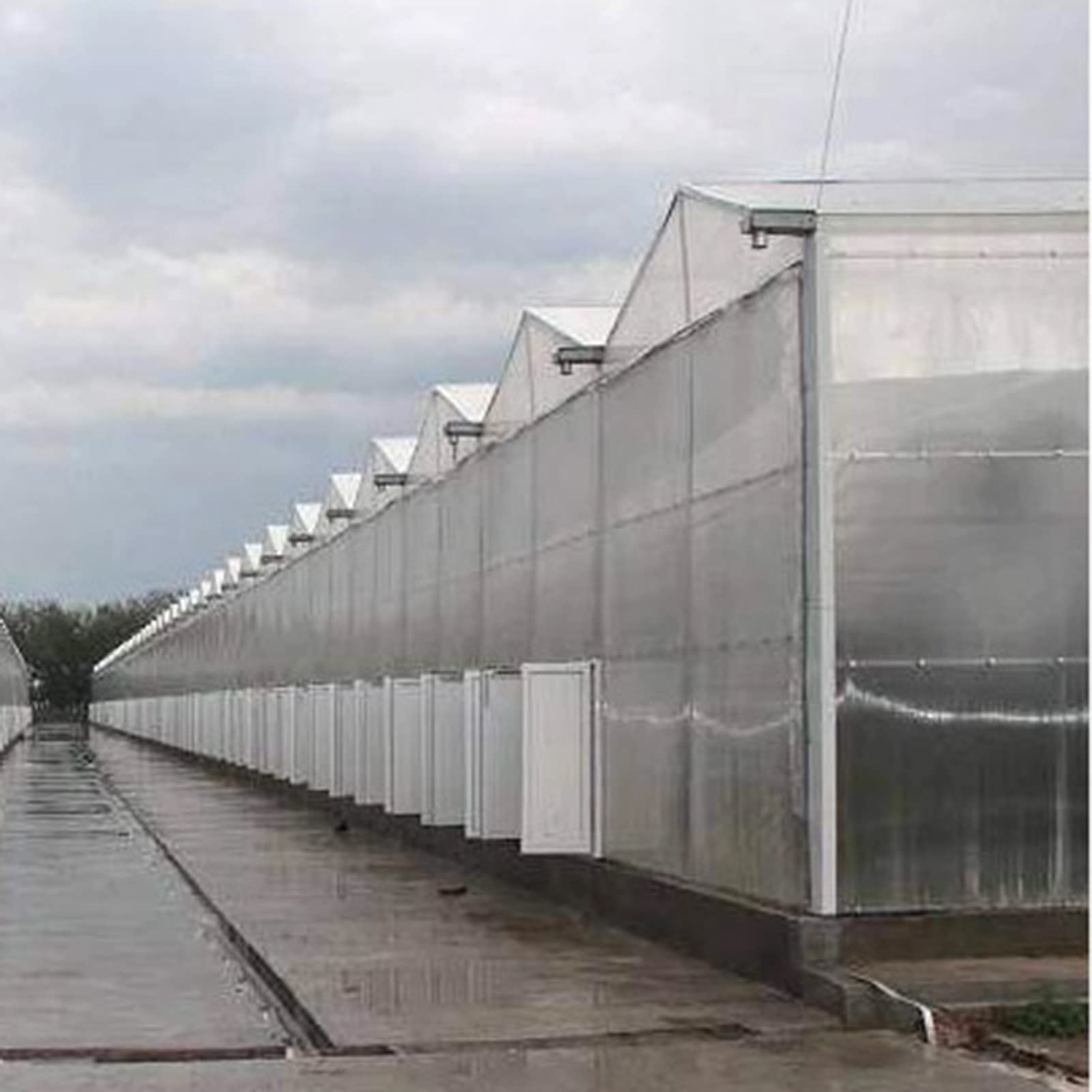 UV Resistant Polycarbonate Roofing Sheet - Clear Greenhouse Cover for Gardening, Farming, and Agriculture - Durable Canopy Panel (6.56ft x 3.2ft) - Perfect for Greenhouses, Patio Covers, and Outdoor Structures