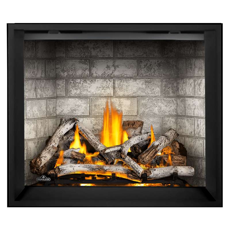 Napoleon Elevation X 42 Inch Direct Vent Gas Fireplace - EX42 | Indoor Heating for Living Rooms & Bedrooms | Modern Home Decor
