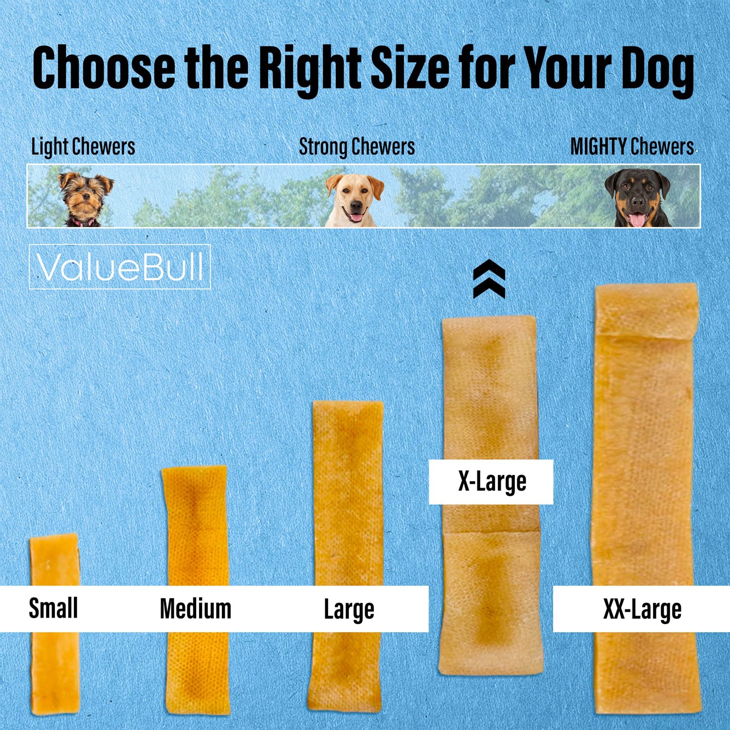 Premium Himalayan Yak Cheese Dog Chews - Extra Large 10lb Bulk Pack for Aggressive Chewers | All-Natural, Healthy & Safe Low-Odor Treats | Made in Nepal with Yak Milk | Perfect for Training, Dental Health & Long-Lasting Chewing Satisfaction