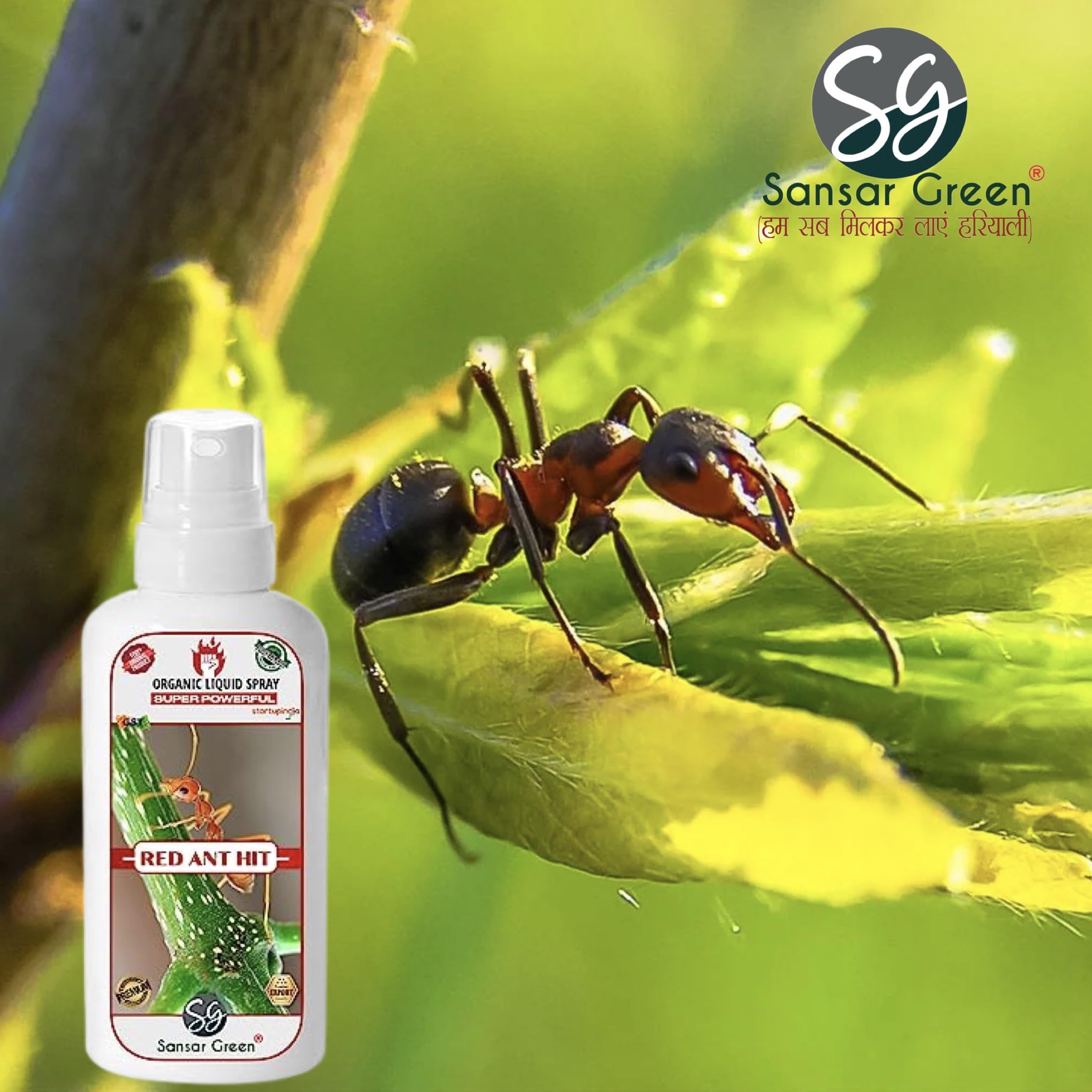 Sansar Green® Red Ant Killer Spray - Powerful Liquid Insecticide for Eliminating Red Ants & Pests on Plants (100ml) | Indoor & Outdoor Garden Protection