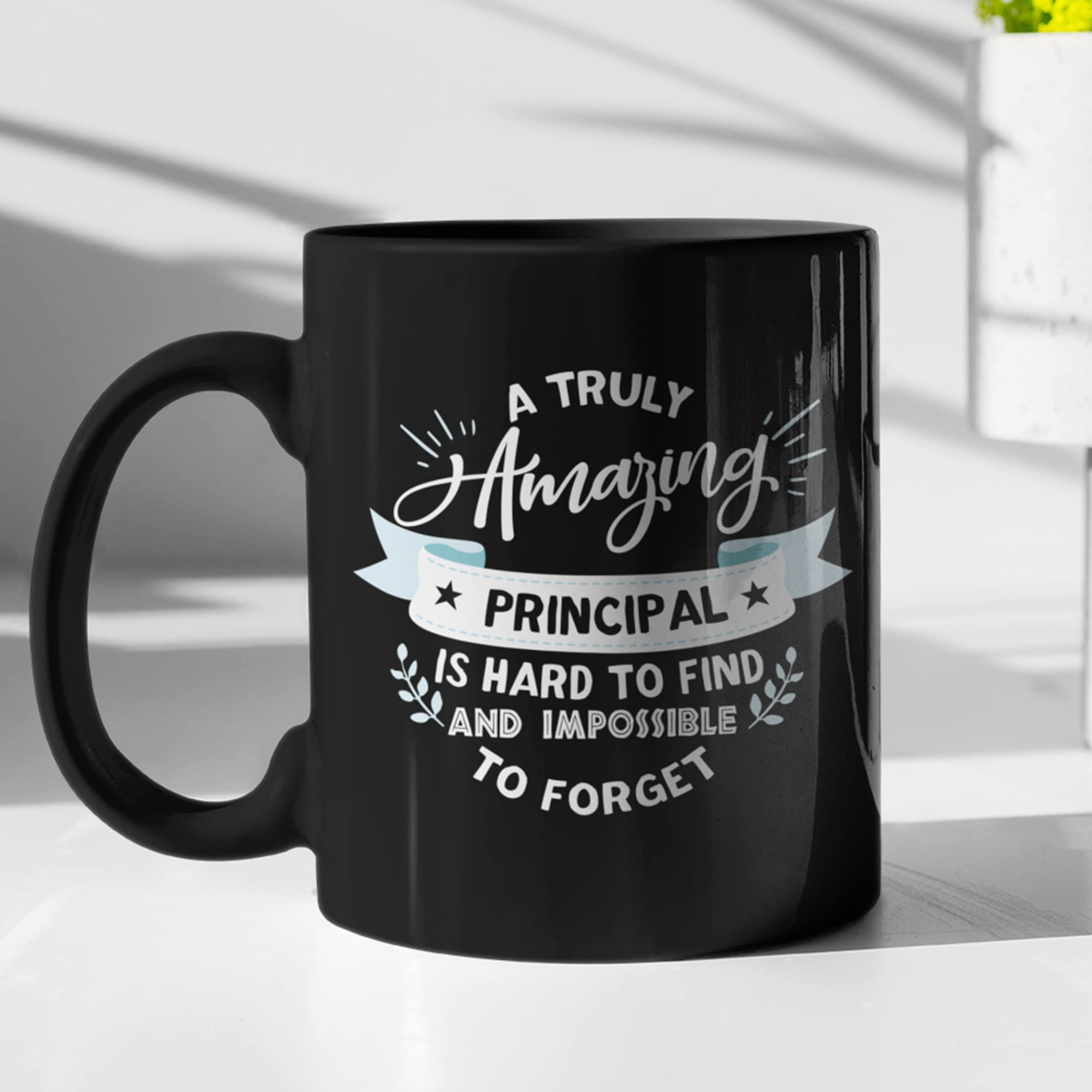 Funny Principal Appreciation Gift - Best School Principal Coffee Mug for Men & Women - Perfect Retirement, Birthday & End of Year Teacher Gift - Ideal for Office Use, Staff Recognition & School Events