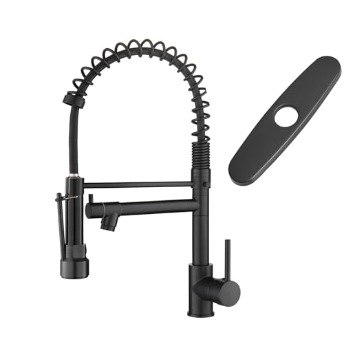 Faucet with Deck Plate